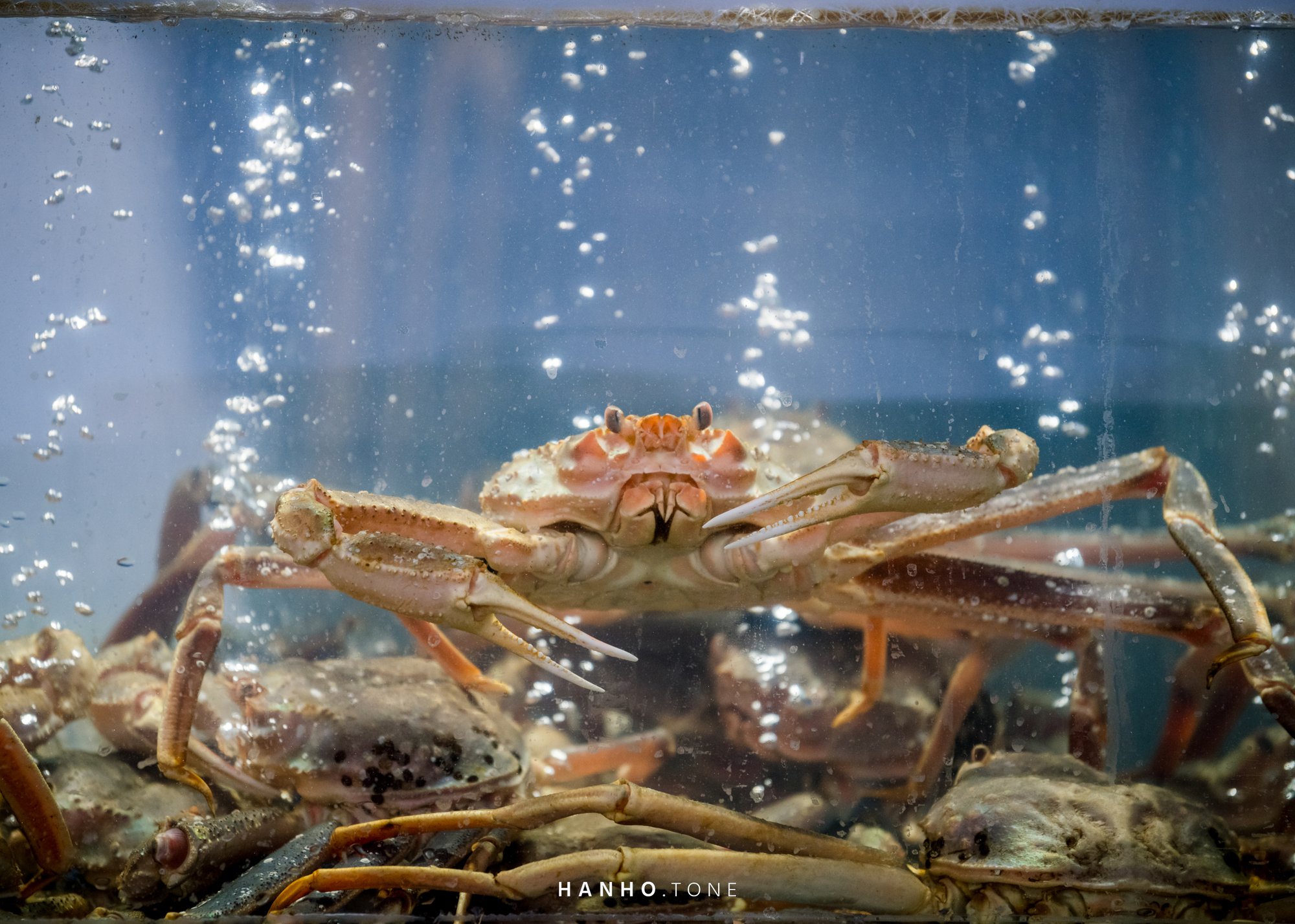 SOKCHO, GANGWON / 2019 5