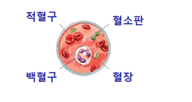 항암치료와 백혈구 수치 그리고 면역력 2